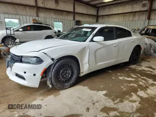 2019 Dodge Charger Police with VIN 2C3CDXKT0KH640374, listed as a Copart auction lot 60738205 with 124,236 mi miles and Clean title. Bid and sale history available at DreamBid. Image 1.