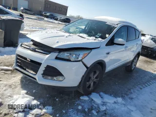 2015 Ford Escape SE with VIN 1FMCU9G99FUA96766, listed as a Copart auction lot 41449035 with 160,008 mi miles and Salvage Title. Bid and sale history available at carsss.com. Image 1.