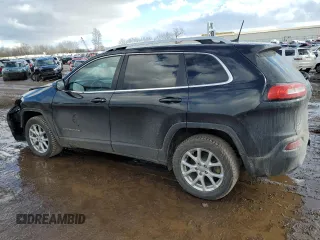 2016 Jeep Cherokee North with VIN 1C4PJMCS8GW365579, listed as a Copart auction lot 46599895 with 129,116 mi miles and Salvage Title. Bid and sale history available at carsss.com. Image 2.