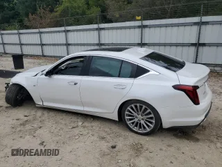 2020 Cadillac CT5 Premium Luxury with VIN 1G6DN5RK3L0117566, listed as a Copart auction lot 58163615 with Not provided miles and Salvage title. Bid and sale history available at DreamBid. Image 2.