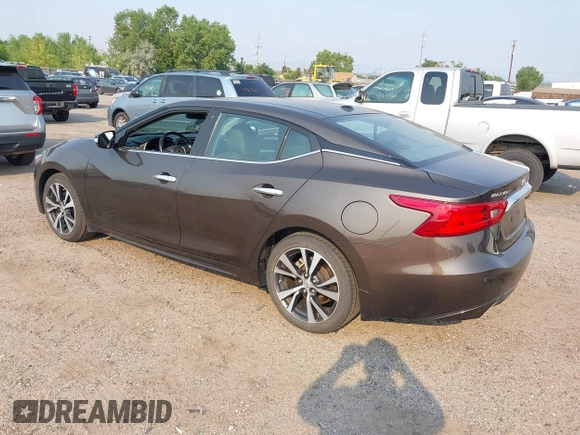 2016 Nissan Maxima SV with VIN 1N4AA6AP9GC384035, listed as a IAAI auction lot 42856838 with 116,736 mi miles and . Bid and sale history available at DreamBid. Image 3.