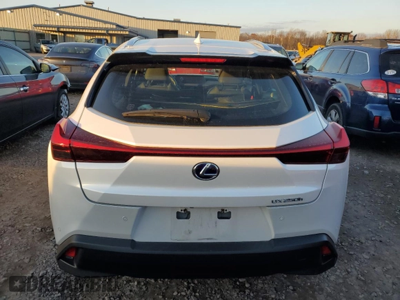 2022 Lexus UX with VIN JTHP9JBH9N2057661, listed as a Copart auction lot 81083394 with 26,443 mi miles and Salvage Title. Bid and sale history available at carsss.com. Image 6.