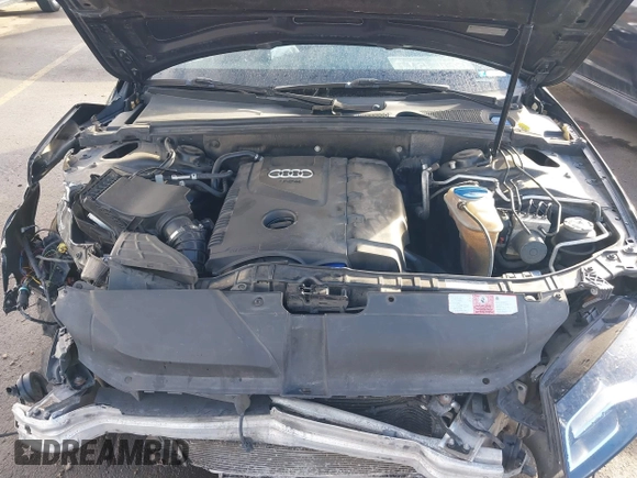 2010 Audi A4 Premium Plus с VIN WAUFFAFL8AN052025, выставлен на аукционе IAAI как лот 41108711 с пробегом Не указан миль и . История ставок и продаж доступна на DreamBid. Изображение 10.