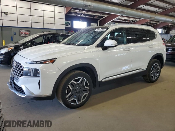 2023 Hyundai Santa Fe Limited with VIN 5NMS4DAL0PH532162, listed as a Copart auction lot 55289655 with 48,887 mi miles and Clean Title. Bid and sale history available at DreamBid. Image 1.