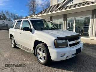 2008 Chevrolet TrailBlazer 1LT with VIN 1GNDT13S28218243, listed as a Copart auction lot 41378805 with 212,382 mi miles and Clean Title. Bid and sale history available at DreamBid. Image 1.