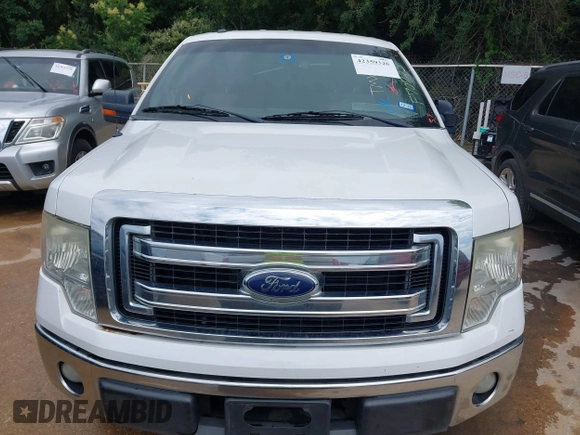 2013 Ford F-150 XL with VIN 1FTEX1CM9DKF70725, listed as a IAAI auction lot 42359320 with 227,910 mi miles and . Bid and sale history available at DreamBid. Image 6.
