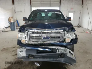 2013 Ford F-150 XL with VIN 1FTFX1EF0DFD99679, listed as a Copart auction lot 57461065 with 216,138 mi miles and Salvage title. Bid and sale history available at DreamBid. Image 5.