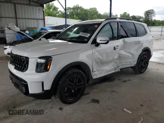2025 Kia Telluride SX-Prestige X-Line с VIN 5XYP5DGC8SG618588, выставлен на аукционе Copart как лот 59898965 с пробегом 2 182 миль миль и Списание • Salvage title. История ставок и продаж доступна на DreamBid. Изображение 1.