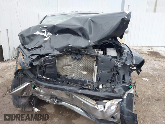 2009 Dodge 1500 SLT z VIN 1D3HV13T09S702280, wystawiony jako IAAI lot #42163173 z przebiegiem Nie podano mil oraz . Historia ofert i sprzedaży dostępna na DreamBid. Obrazek 13.