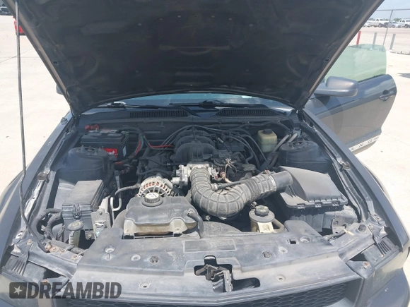 2007 Ford Mustang Deluxe с VIN 1ZVFT80N975271192, выставлен на аукционе IAAI как лот 42732940 с пробегом 230 646 миль миль и . История ставок и продаж доступна на DreamBid. Изображение 10.