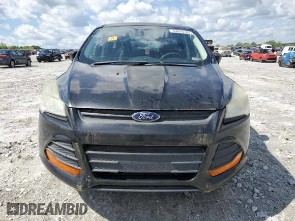 2013 Ford Escape S with VIN 1FMCU0F73DUD31493, listed as a Copart auction lot 53019785 with 0 mi miles and Clean Title. Bid and sale history available at carsss.com. Image 5.