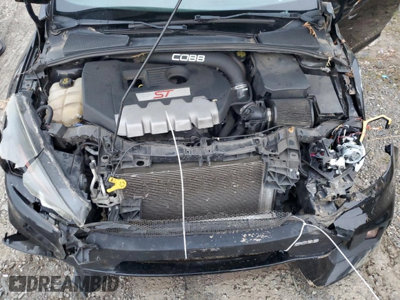 2018 Ford Focus ST with VIN 1FADP3L95JL332501, listed as a Copart auction lot 49747155 with 74,843 mi miles and Salvage Title. Bid and sale history available at DreamBid. Image 12.