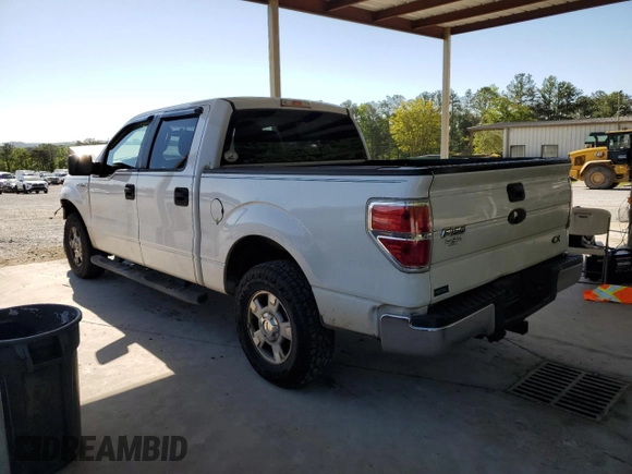 2010 Ford F-150 XL with VIN 1FTEW1C80AFA70138, listed as a Copart auction lot 53135735 with 209,803 mi miles and Salvage Title. Bid and sale history available at carsss.com. Image 2.
