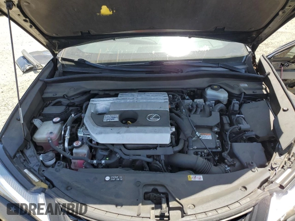 2019 Lexus UX 250h with VIN JTHU9JBH2K2013001, listed as a Copart auction lot 59142205 with 104,917 mi miles and Salvage title. Bid and sale history available at DreamBid. Image 11.
