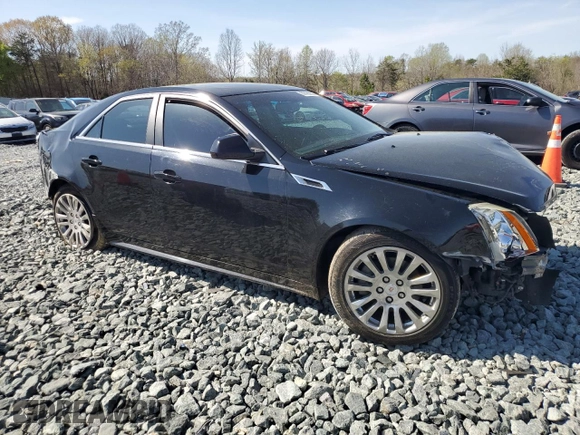 2011 Cadillac CTS Performance with VIN 1G6DJ5ED2B0153556, listed as a Copart auction lot 50429865 with Not Provided miles and Salvage Title. Bid and sale history available at DreamBid. Image 4.