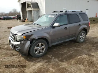 2010 Ford Escape Limited with VIN 1FMCU9E7XAKB63865, listed as a Copart auction lot 51208285 with 177,517 mi miles and Clean title. Bid and sale history available at DreamBid. Image 1.