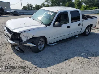 2005 Chevrolet Silverado 1500 LS with VIN 2GCEC13T851135604, listed as a Copart auction lot 59295325 with Not provided miles and Salvage title. Bid and sale history available at DreamBid. Image 1.