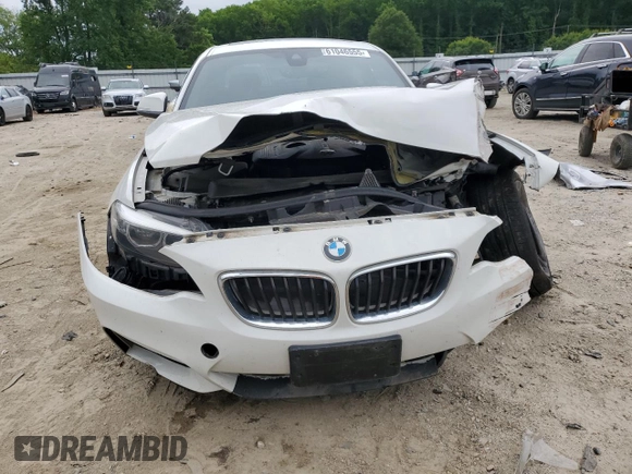 2018 BMW 2 Series 230i xDrive with VIN WBA2J3C54JVA49821, listed as a Copart auction lot 61046555 with 51,167 mi miles and Salvage title. Bid and sale history available at DreamBid. Image 5.