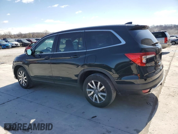 2021 Honda Pilot EX-L with VIN 5FNYF6H59MB004544, listed as a Copart auction lot 49628845 with 50,033 mi miles and Salvage Title. Bid and sale history available at carsss.com. Image 2.