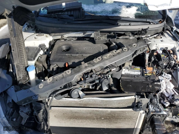 2015 Hyundai Sonata 2.4L SE with VIN 5NPE24AF4FH183683, listed as a Copart auction lot 44922705 with 0 mi miles and Salvage Title. Bid and sale history available at carsss.com. Image 11.