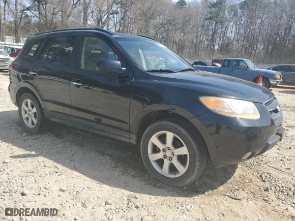 2009 Hyundai Santa Fe SE with VIN 5NMSH13E69H301612, listed as a Copart auction lot 49039005 with 214,882 mi miles and Salvage Title. Bid and sale history available at carsss.com. Image 4.