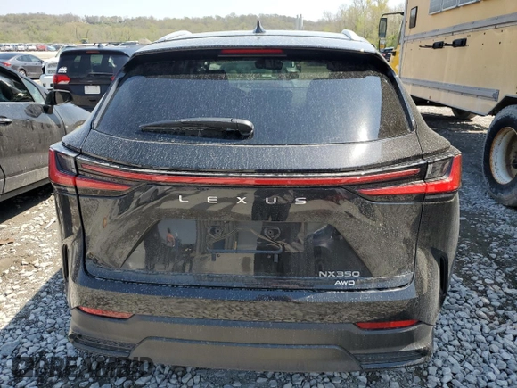 2025 Lexus NX 350 Premium with VIN 2T2GGCEZ1SC073837, listed as a Copart auction lot 53096925 with 304 mi miles and Salvage title. Bid and sale history available at DreamBid. Image 6.