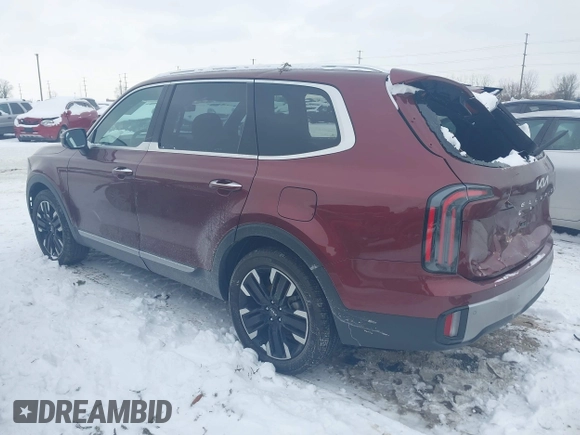 2023 Kia Telluride SX Prestige X-Pro with VIN 5XYP5DGC3PG366935, listed as a IAAI auction lot 41257675 with 23,943 mi miles and . Bid and sale history available at DreamBid. Image 3.