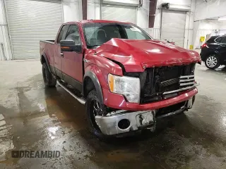 2010 Ford F-150 XL with VIN 1FTFX1EV4AKE10502, listed as a Copart auction lot 48208995 with 162,801 mi miles and Non repairable. Bid and sale history available at DreamBid. Image 11.