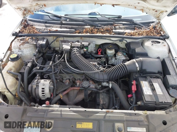 1995 Chevrolet Cavalier LS z VIN 1G1JF5245S7207731, wystawiony jako IAAI lot #42366121 z przebiegiem 125 163 mil mil oraz . Historia ofert i sprzedaży dostępna na DreamBid. Obrazek 10.