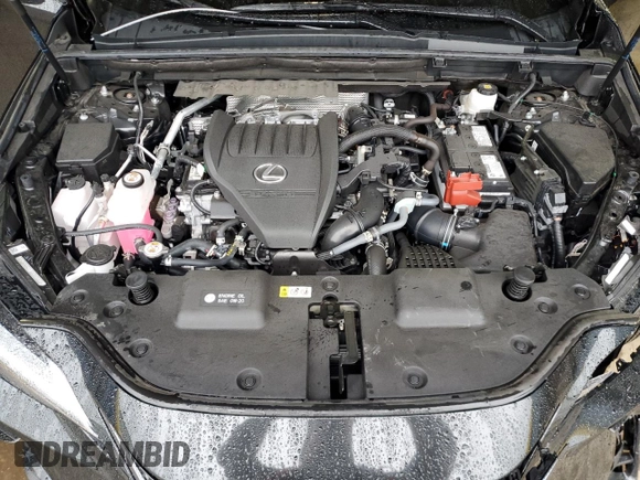 2025 Lexus NX 350 с VIN 2T2AGCEZ7SC061228, выставлен на аукционе Copart как лот 59637775 с пробегом 7 173 миль миль и Списание • Salvage title. История ставок и продаж доступна на DreamBid. Изображение 12.