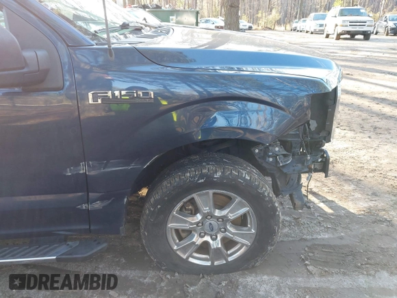 2017 Ford F-150 XL with VIN 1FTEW1CF0HFC11119, listed as a IAAI auction lot 41600880 with 118,466 mi miles. Bid and sale history available at carsss.com. Image 6.