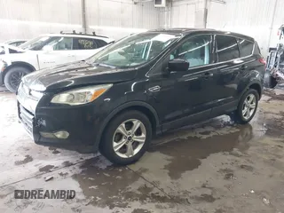 2014 Ford Escape SE with VIN 1FMCU0GX4EUC50972, listed as a IAAI auction lot 41953559 with 134,936 mi miles. Bid and sale history available at carsss.com. Image 2.