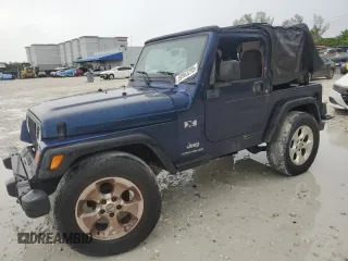 2003 Jeep Wrangler X with VIN 1J4FA39S93P315950, listed as a Copart auction lot 59563295 with Not provided miles and Salvage title. Bid and sale history available at DreamBid. Image 1.