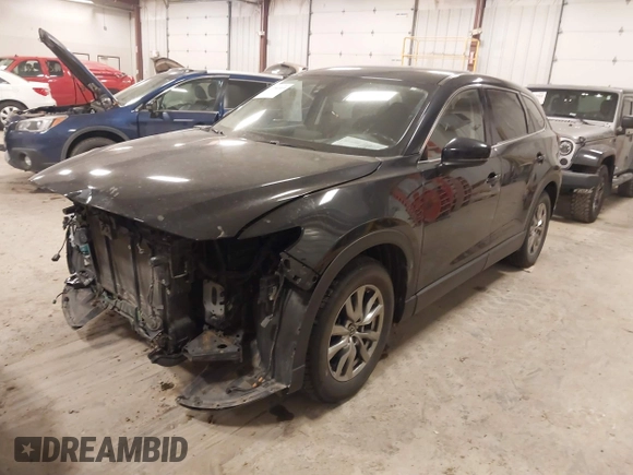 2017 Mazda CX-9 Touring with VIN JM3TCBCY8H0128734, listed as a IAAI auction lot 41256313 with 166,353 mi miles. Bid and sale history available at carsss.com. Image 17.