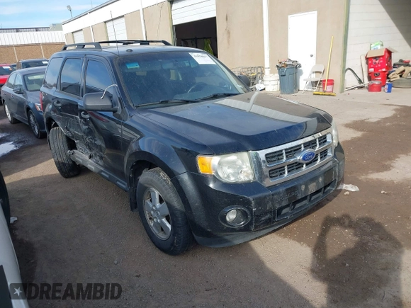 2011 Ford Escape XLT with VIN 1FMCU9DG3BKB95799, listed as a IAAI auction lot 41058817 with Not provided miles and . Bid and sale history available at DreamBid. Image 1.