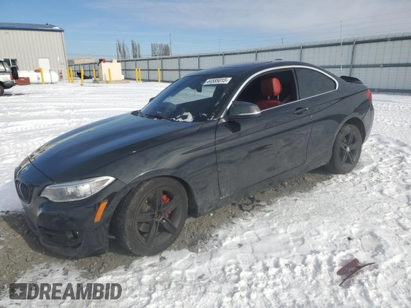 2017 BMW 2 Series 230i with VIN WBA2F9C39HV664732, listed as a Copart auction lot 44585015 with 88,917 mi miles and Salvage title. Bid and sale history available at DreamBid. Image 1.