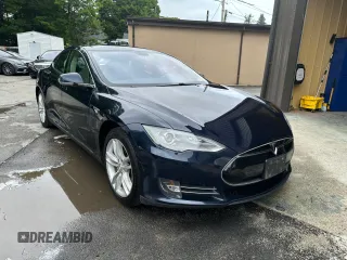 2014 Tesla Model S 60 with VIN 5YJSA1H14EFP41320, listed as a Copart auction lot 61816795 with 176,055 mi miles and Clean title. Bid and sale history available at DreamBid. Image 1.