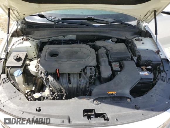 2016 Kia Optima LX z VIN KNAGT4L3XG5095261, wystawiony jako Copart lot #54756295 z przebiegiem 163 125 mil mil oraz Szkoda całkowita • Salvage title. Historia ofert i sprzedaży dostępna na DreamBid. Obrazek 11.