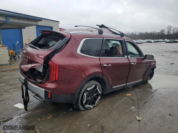 2024 Kia Telluride S with VIN 5XYP6DGC6RG437724, listed as a Copart auction lot 81631944 with 0 mi miles and Salvage Title. Bid and sale history available at carsss.com. Image 3.