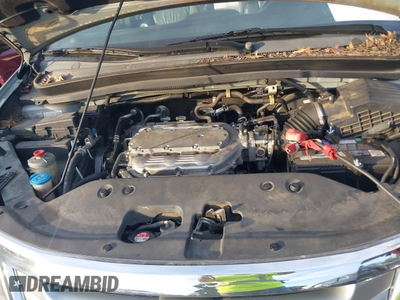 2008 Honda Odyssey EX-L with VIN 5FNRL38758B050245, listed as a IAAI auction lot 41358323 with 145,010 mi miles and . Bid and sale history available at DreamBid. Image 10.