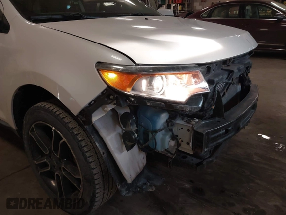 2013 Ford Edge SEL with VIN 2FMDK4JC0DBA09096, listed as a IAAI auction lot 41379060 with 181,469 mi miles. Bid and sale history available at carsss.com. Image 17.