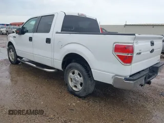 2013 Ford F-150 XL with VIN 1FTEW1CM2DKF61710, listed as a IAAI auction lot 42294937 with 297,904 mi miles and . Bid and sale history available at DreamBid. Image 3.