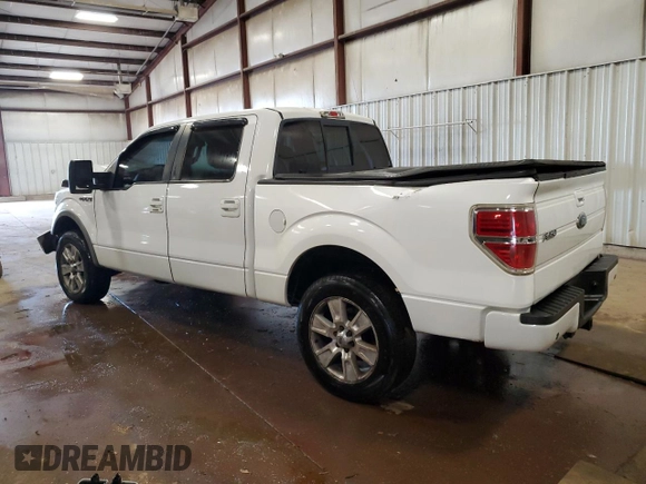 2009 Ford F-150 XL with VIN 1FTPW14VX9FB49308, listed as a Copart auction lot 58503935 with 463,505 mi miles and Clean title. Bid and sale history available at DreamBid. Image 2.