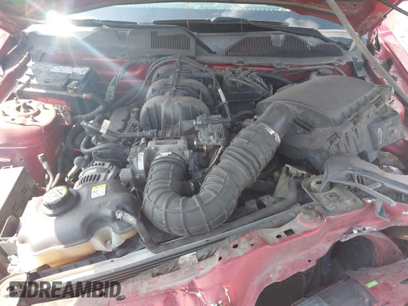 2010 Ford Mustang V6 with VIN 1ZVBP8EN1A5110063, listed as a IAAI auction lot 42698144 with 215,245 mi miles and . Bid and sale history available at DreamBid. Image 10.