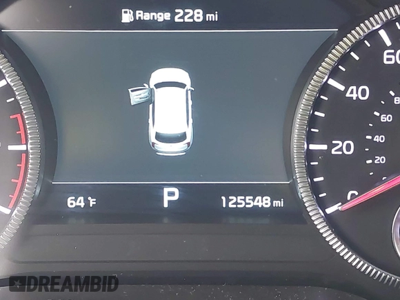 2021 Kia Telluride SX with VIN 5XYP5DHC9MG095972, listed as a IAAI auction lot 42345283 with 125,548 mi miles and . Bid and sale history available at DreamBid. Image 15.