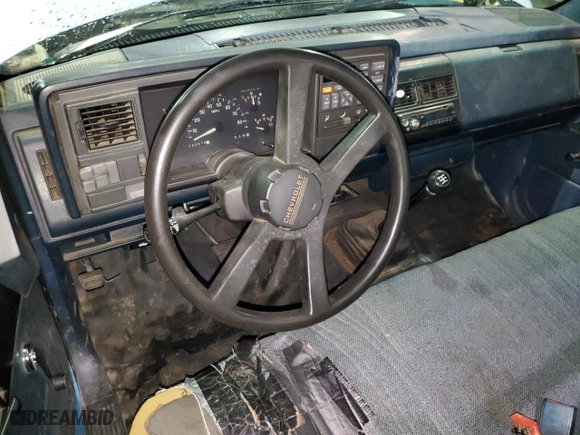 1994 Chevrolet C/K 1500 with VIN 1GCDC14Z3RZ111366, listed as a Copart auction lot 87873185 with 290,576 mi miles and Non Repairable. Bid and sale history available at carsss.com. Image 8.