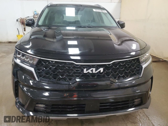 2024 Kia Sorento EX with VIN KNDRHDLGXR5258302, listed as a Copart auction lot 59800195 with 22,250 mi miles and Clean title. Bid and sale history available at DreamBid. Image 5.