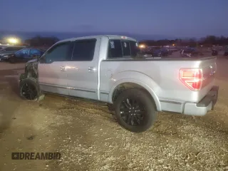 2009 Ford F-150 XL with VIN 1FTPW14V29FA39062, listed as a Copart auction lot 44239455 with 231,207 mi miles and Salvage title. Bid and sale history available at DreamBid. Image 2.