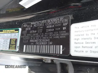 2014 Kia Cadenza Premium with VIN KNALN4D73E5163441, listed as a IAAI auction lot 41392572 with 190,378 mi miles. Bid and sale history available at carsss.com. Image 9.