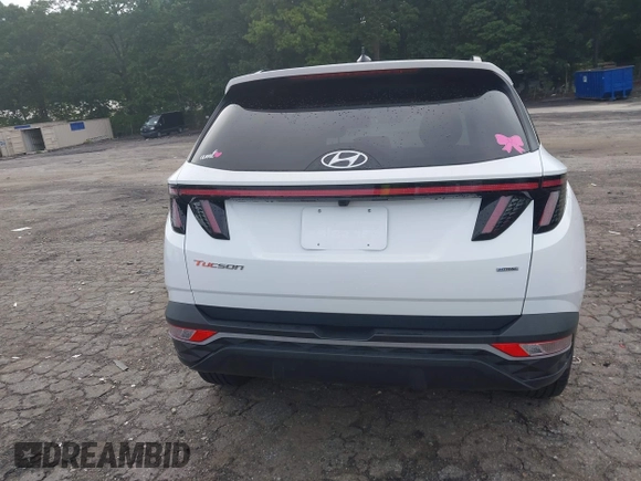 2023 Hyundai Tucson SEL with VIN 5NMJBCAE1PH201717, listed as a IAAI auction lot 42481210 with 55,943 mi miles and . Bid and sale history available at DreamBid. Image 16.